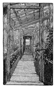 darwins-greenhouse-01