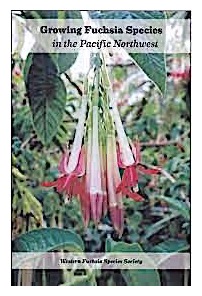 Growing Fuchsia Species in the PNW