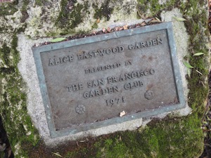 alice-eastwood-garden