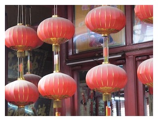 hanging-lantern-flower