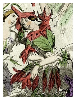 fleurs-animees-detail