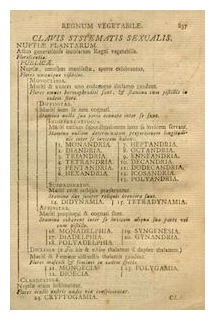 clavis-systematis-sexualis