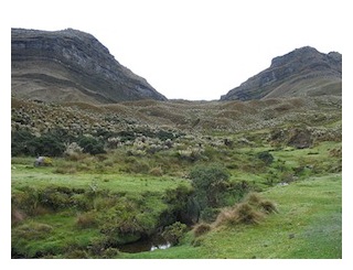 paramo