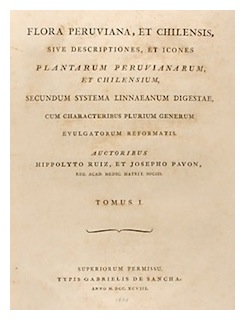 flora-peruviana-et-chilensis
