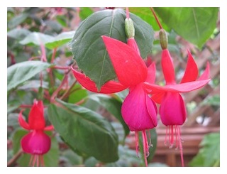 jules-dalgones-300px