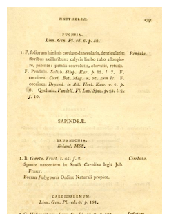 Screen Shot 2012-08-31 at 7.42.45 AM