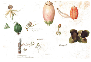 Screen Shot 2012-10-20 at 7.53.11 PM