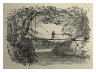 malay-archipelago-10