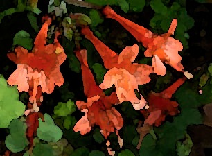 faux-fuchsia-04