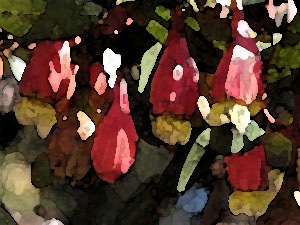 faux-fuchsia-06