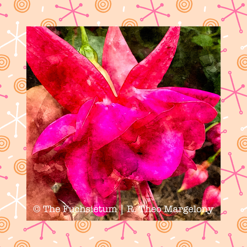 08 Fuchsia Ruby Wedding