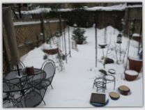 2010-12-15 Photo 3