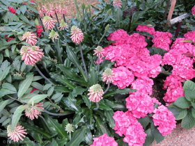 2012-02-longwood-135