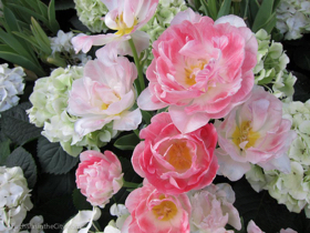 2012-02-longwood-157