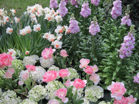 2012-02-longwood-164