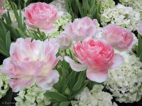 2012-02-longwood-167