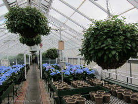 2012-02-longwood-263