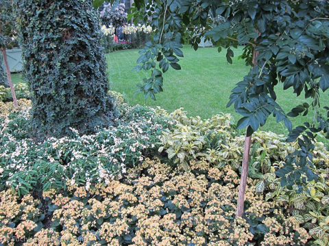 2012-02-longwood-304