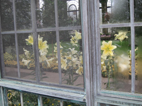 2012-02-longwood-379