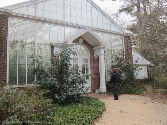 2013-03-17-planting-fields-1