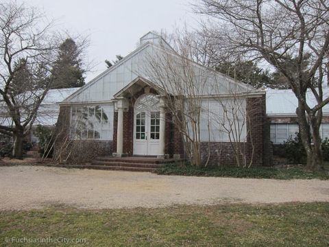 2013-03-17-planting-fields-143