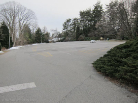 2013-03-17-planting-fields-412