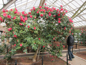 2013-03-17-planting-fields-89