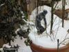 2014-01-04-winter-garden-28