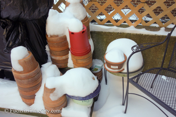2014-01-04-winter-garden-37