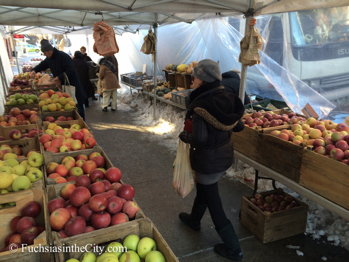 2014-01-04-winter-garden-48