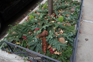 2014-12-festive-sidewalks-28