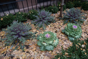 2014-12-festive-sidewalks-3