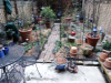 2015-03-Melting-Snow-20