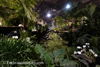 2015-03-Philly-Flower-Show-159