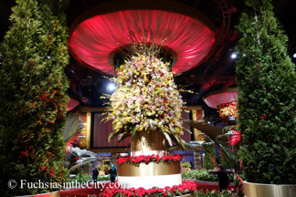 2015-03-Philly-Flower-Show-1651