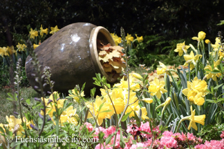 2015-03-Philly-Flower-Show-175