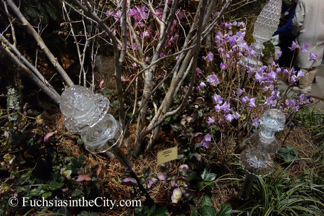 2015-03-Philly-Flower-Show-25