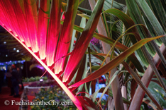2015-03-Philly-Flower-Show-272