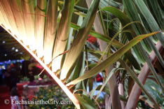 2015-03-Philly-Flower-Show-276