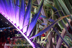 2015-03-Philly-Flower-Show-278