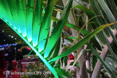 2015-03-Philly-Flower-Show-280