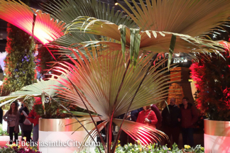 2015-03-Philly-Flower-Show-503