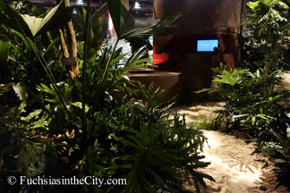 2015-03-Philly-Flower-Show-654