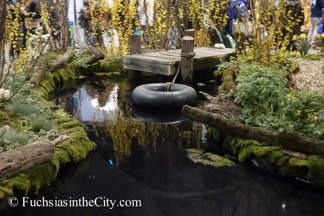 2015-03-Philly-Flower-Show-712