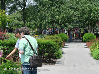 2016-07-NYBG-434
