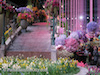 2017-03-philly-flower-show-17 copy