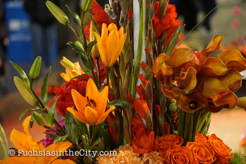2017-03-philly-flower-show-882