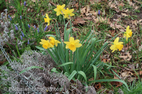2018-04-fort-tryon-park-left-10