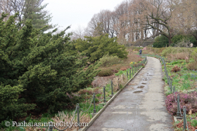 2018-04-fort-tryon-park-left-11