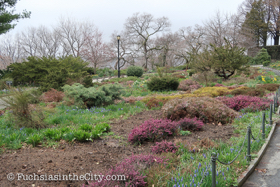 2018-04-fort-tryon-park-left-21
